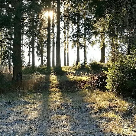 Glockenberg Altenau (Lower-Saxony)