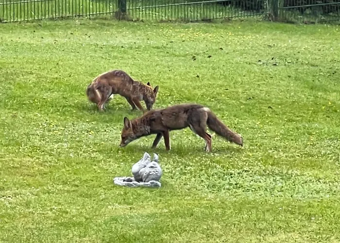 Glockenberg Альтенау